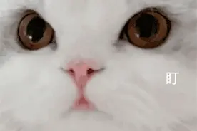 表情包｜诶嘿，扭来扭去图片