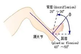 大肠癌科普知识（二十八）肠癌术后康复应该运动还是静养？图片