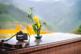 散文：七月，遇见美好，也遇见最美的自己图片