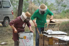 山西养蜂老人很倔强，顾客质疑蜂蜜真假他就生气拒卖，生意却很好图片