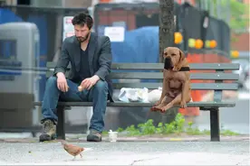 深度解读一加8T赛博朋克2077限定版：末世风影迷会喜欢？图片