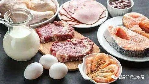 90%的健身人群不知道蛋白质组成的秘密
