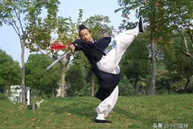 武当陈师行怂了？留美博士扬言2分钟击败他，三丰派竟无一人回应图片