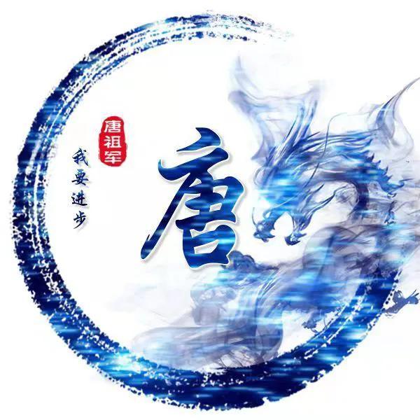 猪个体治疗用药