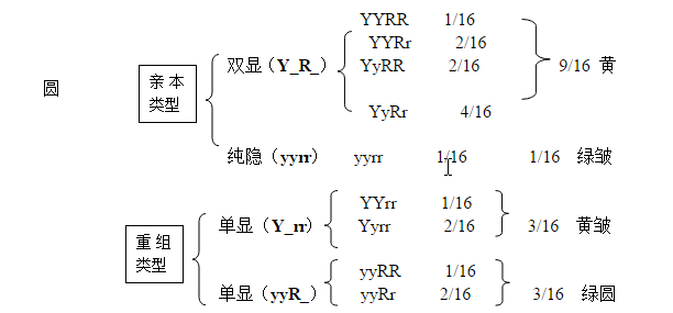 高中生物知识点总结