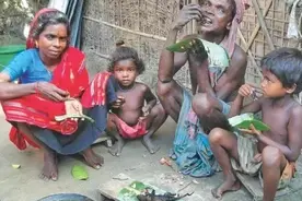 这就是印度捕鼠人一家的午饭，6只老鼠，烤焦了沾咖喱又香又脆图片