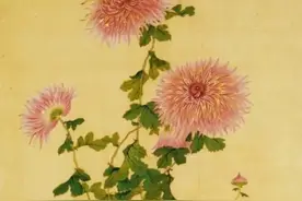 二本学生的985考研路图片