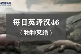 澳思特每日一句答案英译汉翻译视频讲解（物种灭绝）图片