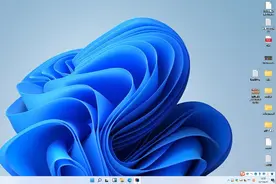 windows 11 pro已安装图片