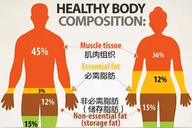从科学角度解释：为什么男生的腿，普遍比女生细？图片