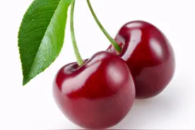 樱桃采摘带热乡村游图片