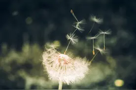 承认吧，爱而不得的人，是你逃不过的劫图片