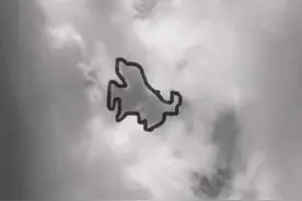 爱犬豆豆去了汪星球，带给我的思考（谨以此文纪念爱犬）图片