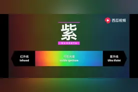 紫色根本不存在！西瓜视频带您了解为什么能看到不存在的紫色图片