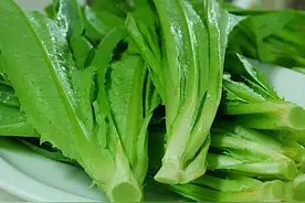油麦菜是莴笋叶吗？二者到底有啥区别？涨知识了图片