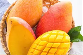 测评时下5种芒果，谁才是你心目中的王者图片