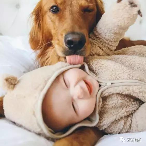 肠道菌群、代谢组与过敏疾病