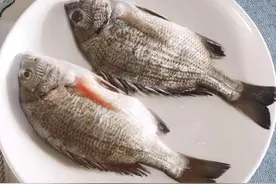 老辈人瞧不上的5种海鱼，现在却越来越贵，年轻人平时都不舍得买图片