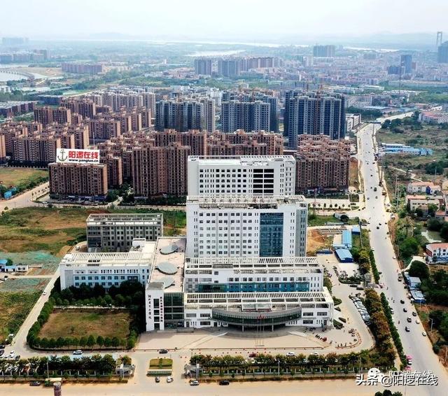 阳逻地区公交线路优化，等你来提建议