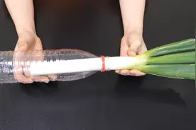 在塑料瓶里插一根大葱，没想到还可以这么用，全家人都夸好