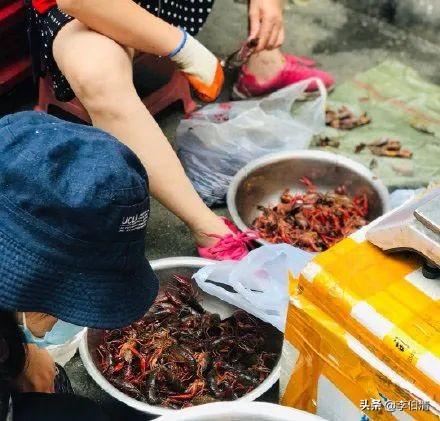 沫沫妈鱼鳞包包教程视频