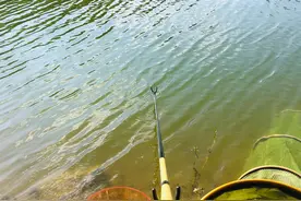 重庆出台禁捕水域休闲垂钓管理办法，市民：那我下水摸鱼得遭不？图片