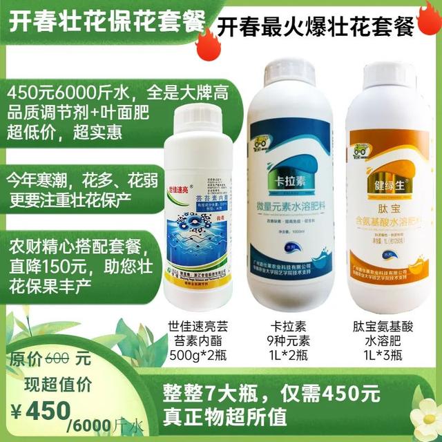 鑺辨湡琛ョ〖锛岃繕鏄ˉ閽欓晛纭硷紵杩樻槸鍏ㄩ兘琛ワ紵瀹為獙鏁版嵁鍛婅瘔浣犺琛ヤ粈涔? onerror=