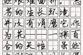 司马彦硬笔书法集字散文：《心田上的百合花开》节选与赏析图片