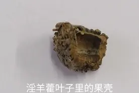 请朋友们帮助辨认一下……图片