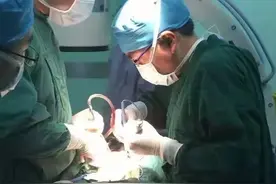 泉港总医院成功实施一例高难度颈椎手术！医疗资源下沉，百姓“家门口”就诊享便利图片