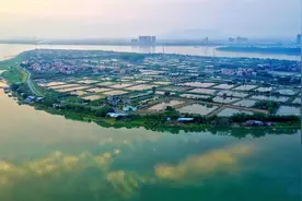 【大美广东】佛山南海：美丽小岛 诗意生活图片