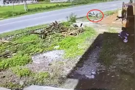 遂川一女子肇事后不顾伤者，私自逃逸6小时内被警方抓获图片