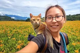 女子户外旅行惨遭意外，最后竟是猫救了自己？图片