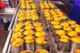 中国制作的黄桃罐头，出口后受到外国人的青睐，一口就爱上的美味图片