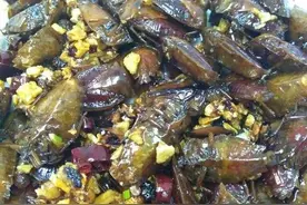 夏天印象生物——臭屁虫，比臭豆腐臭，跟臭豆腐一样美味图片