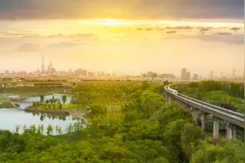 中国人对大城市的误解，实在太深了图片