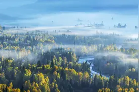 临死前的一分钟…身体有多痛苦？图片