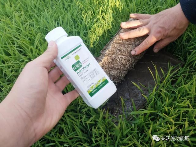 作物药害怎么办？别担心，安法戈氨基酸水溶肥能有效解除