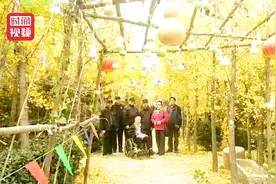 暖！五兄妹带85岁老妈到银杏园游玩 一个都不能少