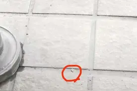 一粒泥砂揪出罪魁祸首！深圳坪山警方侦破高空抛物案图片