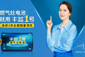 终于等到你！国民媳妇海清实力代言燃气灶电池标杆品牌丰蓝1号图片