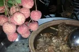 荔枝熟了，深巷正飘着狗肉香，玉林民众盼望“荔枝狗肉节”的到来图片