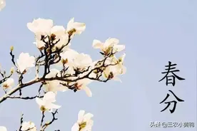 今日春分，春分刮什么风比较好？农村老话这样说图片