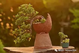 《书香长安》经典诵读——《花盆——文字》图片