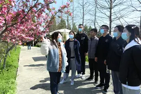 南京市浦口区桥林街道：海棠花开依旧 党的初心不忘图片