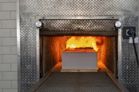 最先进的冰葬技术！零下196度液体氮中冰冻，后震动为尸粉、蒸发图片