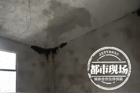 毛骨悚然！居民家中聚集上百只蝙蝠 还发出“吱吱”叫声图片