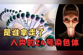 神秘的24号染色体 让人类进化的钥匙？人类真的属于地球吗图片