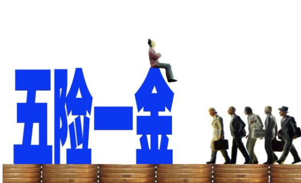 个人和企业缴纳社保，到底有什么区别？两点大不同，你知道吗？