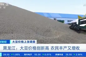 央视调查：丰收之年，神秘资本囤积大豆，他们在赌什么？图片